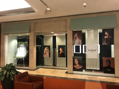 IRIS Window Graphics Photo